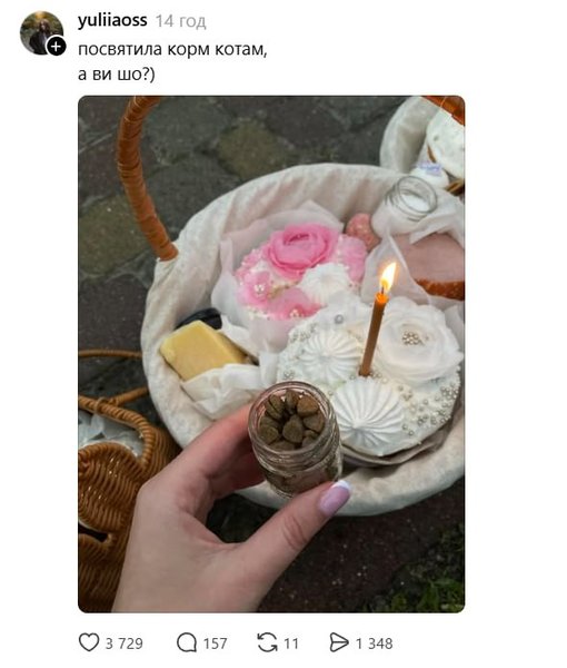 корм для кошки