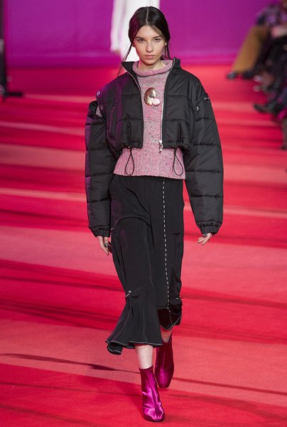 Кроп-пуховик, осінь-зима 2021-22