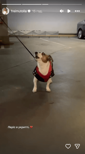 собака Фреймут