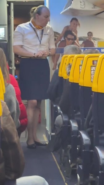 Стюардеса Бортпровідниця