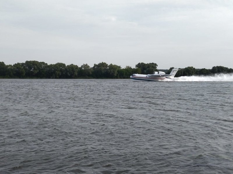 У Рязанській області пожежа у лісі