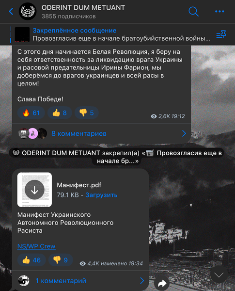 Убийство Ирины Фарион