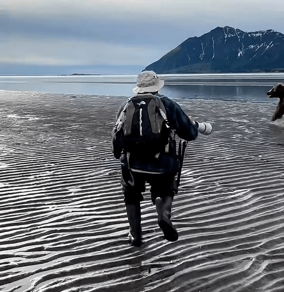 Нападение медведя, туристы, экскурсия, гид, животное, Аляска, бурый медведь, кричал на зверя,