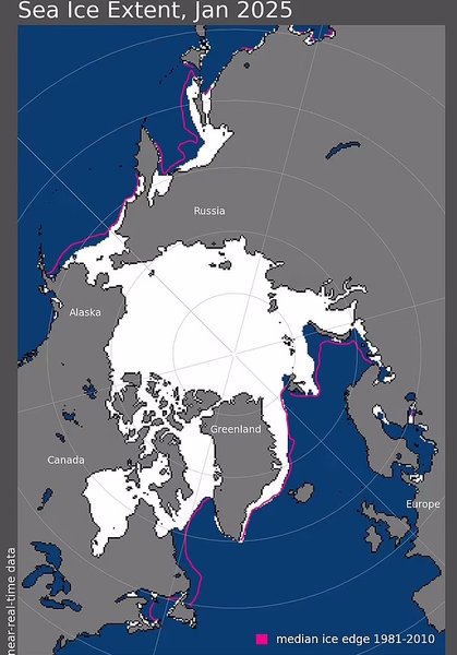 морський лід, морський лід арктика
