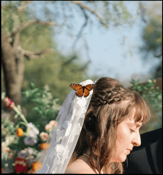 Метелик на фаті нареченої