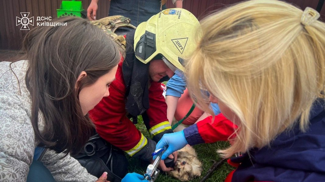 Разрушенная ветклиника