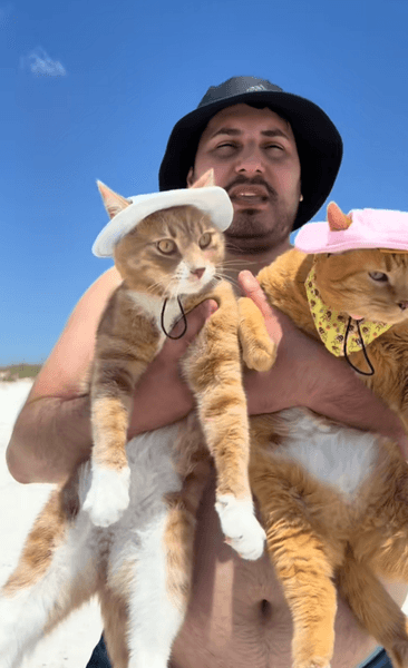 Кошка на пляже, рыжие кошки, рыжие коты, кошки в шляпках, увидели море, мужчина взял животных на пляж, вирусное видео, TikTok
