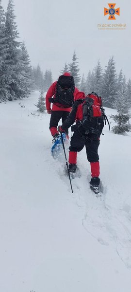 Карпати, Говерла, рятувальники, француз