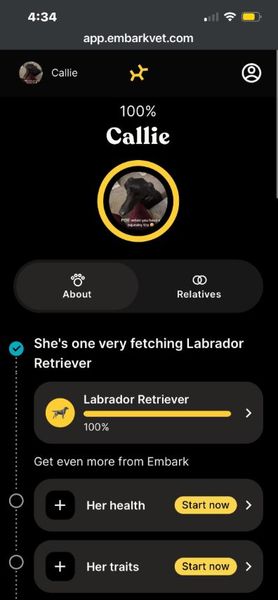 ДНК-тест для собаки, генетическая экспертиза, животные, домашние любимцы, курьезы, приколы, интересности
