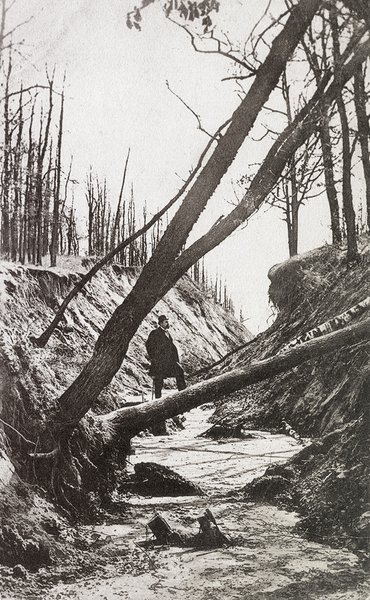 Кадетская роща, Киев, фото