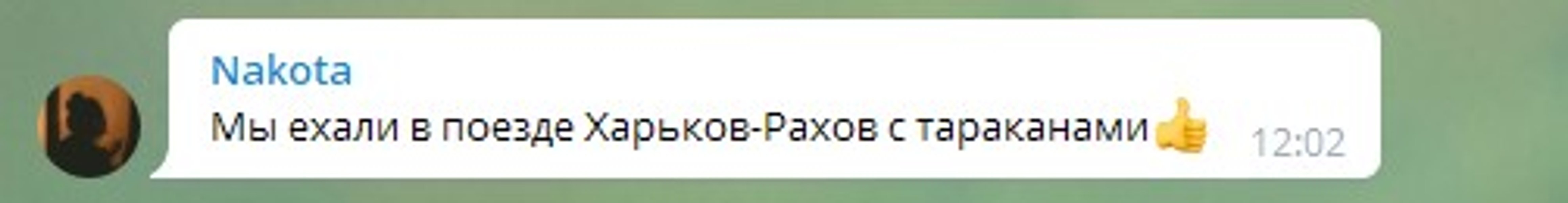 Укрзализныця, поезд, пассажиры, клопы,