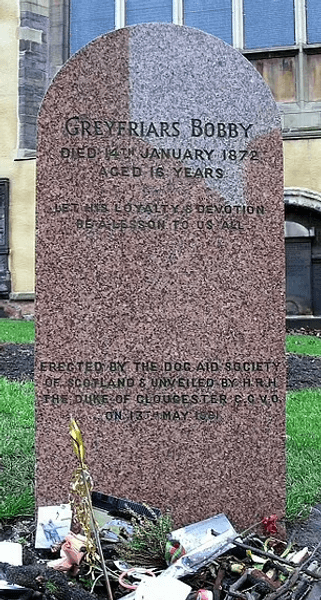 погребение, собака, волт дисней, актер, история