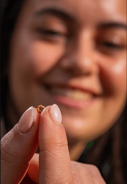 золота прикраса, дослідження, розкопки, єрусалим