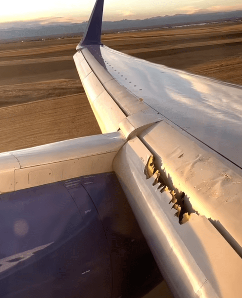 United Airlines, аварийно кацане, странности, спешен случай, САЩ, авиация, самолет, пътници, видео