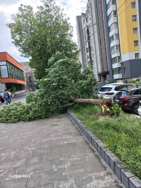 Наслідки негоди у Львові 29 червня