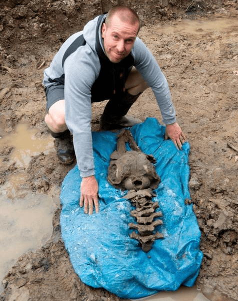 Чоловік знайшов скелет дельфіна, скелет, рештки, кістки дельфіна, 8 тисяч років, археологи, копав басейн, знахідкою всього життя