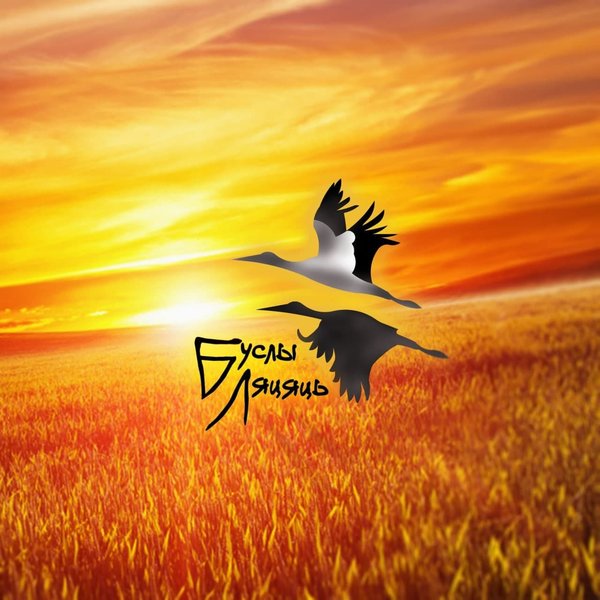 белорусские партизаны