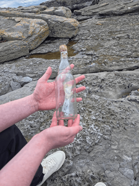 Находка на берегу моря