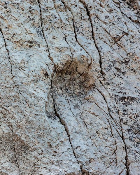 Динозаври залишили чіткі сліди