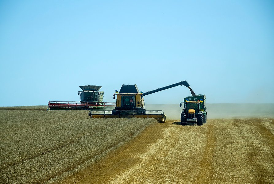 комбайны, урожай, пшеница
