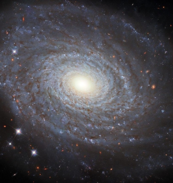 Галактика Галактика