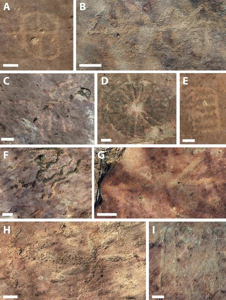 динозаври, петрогліфи