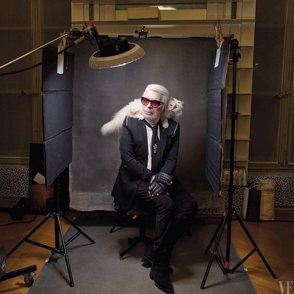 карл лагерфельд, шупетт, кошка, самая богатая кошка в мире