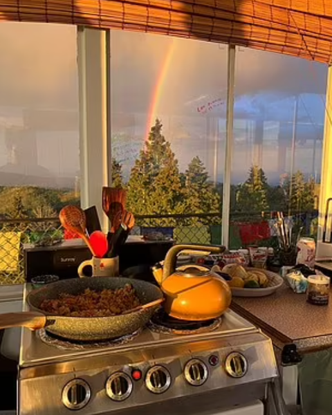 Робота мрії, жінка поселилась у пожежній будці високо в горах, життя у лісі, Кортні Макінтош, США, крихітний будинок, фото