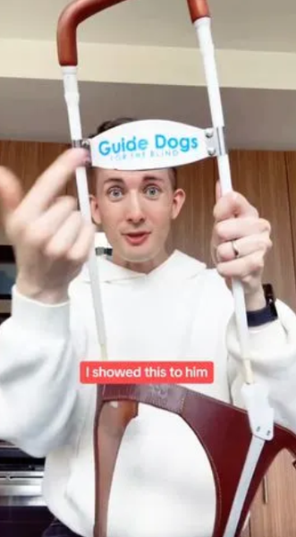 Скандал в ресторане, собака-поводырь, проблемы со зрением, слепые люди, США, видео, тренды TikTok