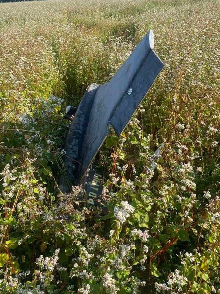 Дрон Гербера