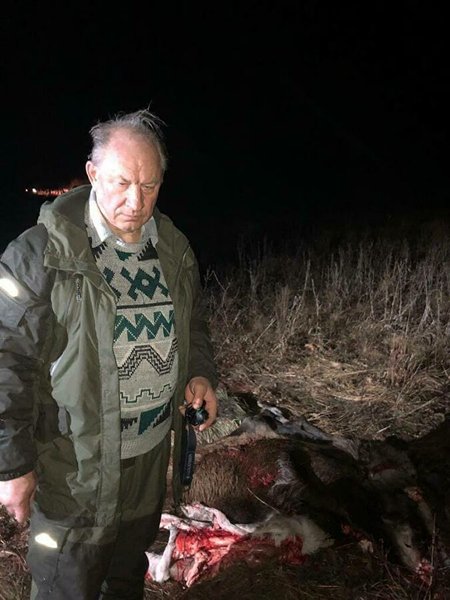 Рашкин, лось, Саратов