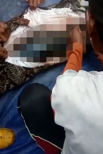 питон ест человека, удав напал на человека, огромный питон проглотил женщину в индонезии, змея которая может проглотить человека, питон ест женщину заживо после того, как она упала в корпус, Питон, может ли змея проглотить слона, гигантская змея ест женщину живьем, нападения животных, дикие животные, питоны в индонезии,