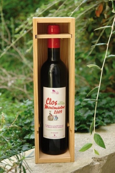 Виноградник в центре Парижа, виноградник монмартр, Кло-Монмартр