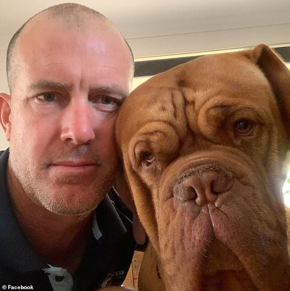 Австралийский серфер, нападения акул