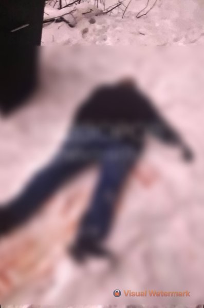 Вбивство у Підмосков’ї, вбивство у Росії, замовне вбивство, вбивство, стрілянина, кілер, Михайло Шатський, Шатський