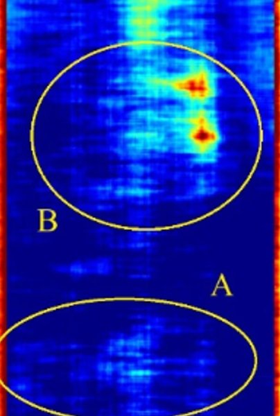 камери, сфінкс