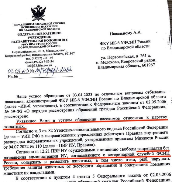 Переписка Навального с администрацией колонии, навальный шизо, навальный колония, навальный кенгуру