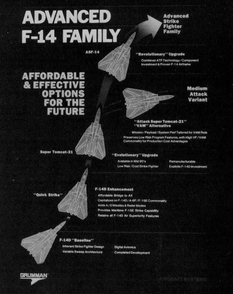 самолеты F-14