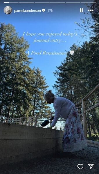 Андерсон Памела грядки