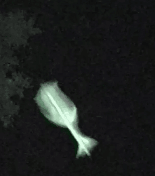 Мужчина видел НЛО, НЛО, корабль пришельцев, пришельцы, похищали пришельцы, инопланетяне, охотник за НЛО