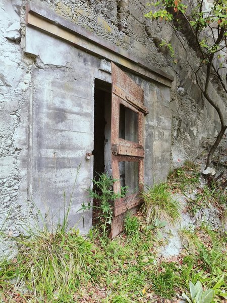 туннель новая зеландия