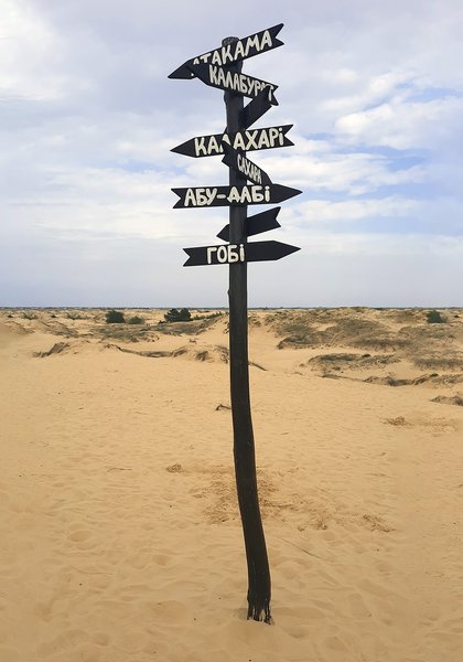 Алешковские пески, Олешковские пески