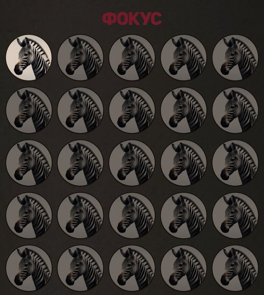 Визуальная головоломка, тест, задача, загадка, головоломка с зебрами, вирусная загадка, найти отличия, найдите отличие