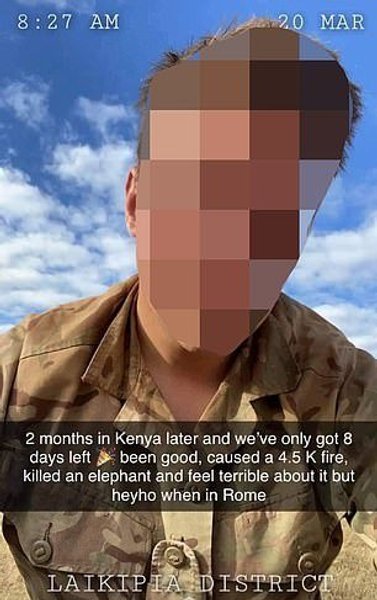 заповедник, пожар, кения, британские военные, погибший слон, слон, Лоллдайга