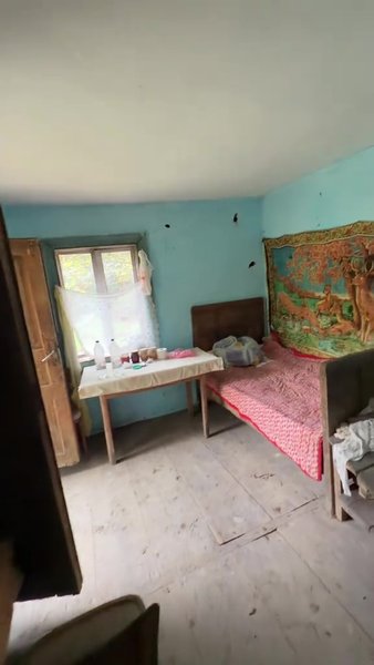 Будинок у Карпатах, огляд