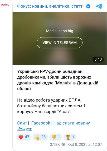 Знищення БПЛА "Молния"