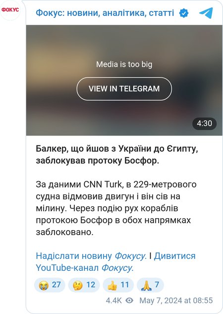 Інцидент з балкером у протоці Босфор