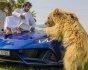 Lamborghini Huracan, авто шейхов, разбитый Lamborghini, частный зоопарк