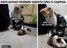 Прикольний мем до дня батька про дитячий садок із котами та написом коли батько прийшов забрати сина із садочка здається мій але це не точно