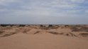 Алешковские пески, Олешковские пески, пустыня в Украине, дюны